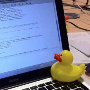 A rubber duck and a laptop computer